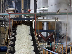 G-ion Resin for Sugar Industry